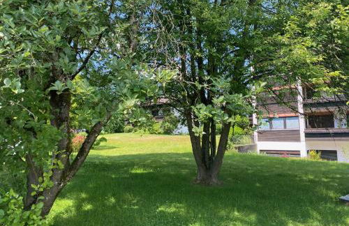 Ferienwohnung Spitzstein - Alpenmagie Suites - Foto 14