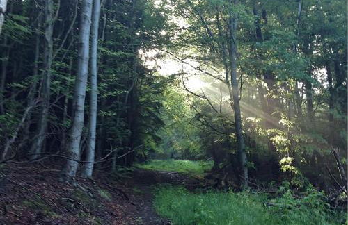 Einladendes, freistehendes Ferienhaus in Wienrode - Foto 28