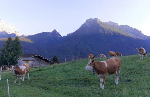 Klettnerlehen - Foto 38