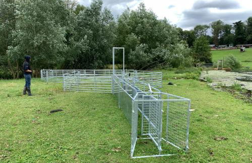 Hertford farm Woodland cabin pet friendly firepit bbq - Foto 43