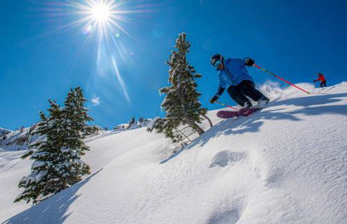 La Vicomtesse de Seillans - Foto 28