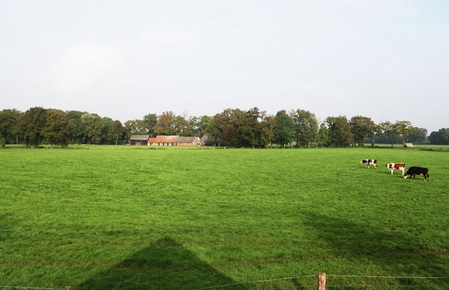 Cozy Apartment in Enschede near Forest - Foto 29