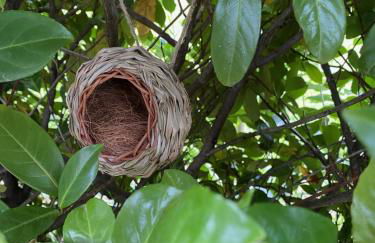 Cascina Bruna - Terrazza panoramica e giardino a Bobbio, Val Trebbia - Foto 42
