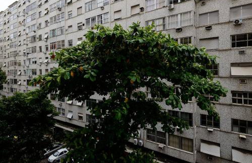 3 Quartos a 290m da Praia do Flamengo | BF 50/402 - Foto 31