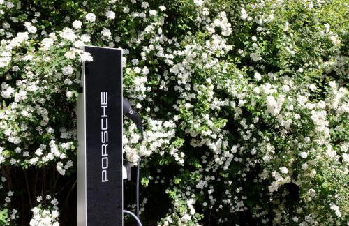 Strandappartement Fischland 123 - Foto 16