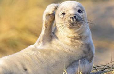 L'Olivier en Baie, T3 de standing avec jardin, vue baie, parking privé - Foto 54