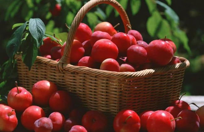 Beautiful and Large 3-bed Villa in Lapta, Cyprus - Foto 20