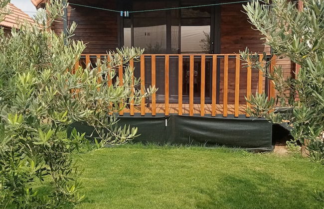 Riviera Bungalow Evleri Demre - Photo 62