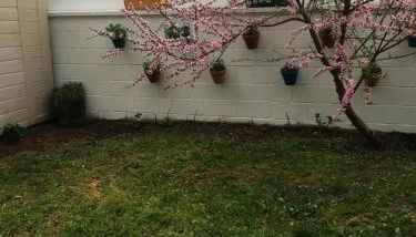 Apartamento en Playa de Altar - Foto 4