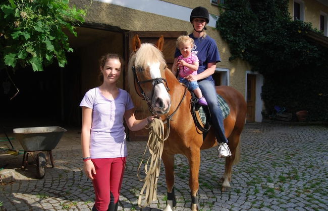 Ferienhof Löw - Photo 23