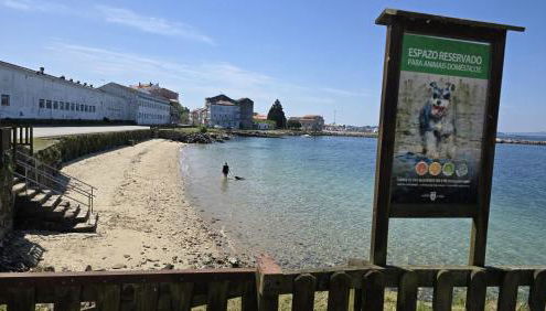 Seaside Apartment Sleeps 6 With Balcony - Foto 4