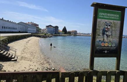 Seaside Apartment Sleeps 6 With Balcony - Foto 4