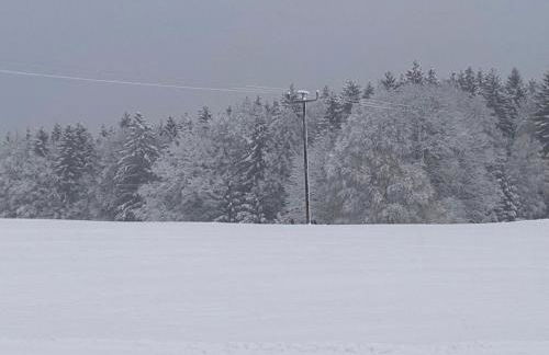 Fewo Waidla - Foto 19