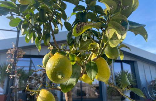 Rooftop en centre ville - Foto 19