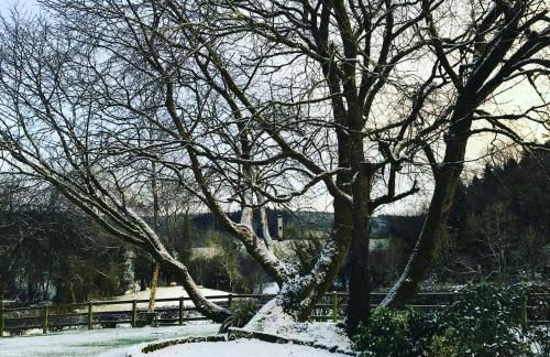 Elm Tree Cottage - Foto 37