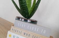 Devrons Sunshine Retreat - Foto 15