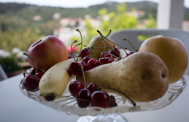 Apartments Miskovic - Photo 29