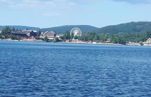 Haus Heidelberg - Foto 81