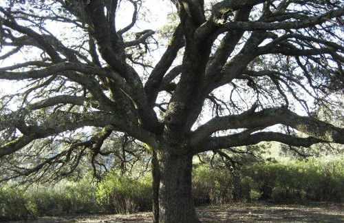 Casa de la Panadería - Foto 20