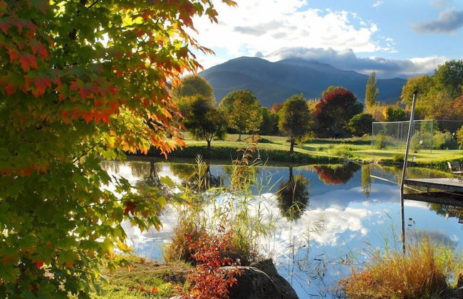Eco Villa Mt Beauty Near Falls Creek & Bright - Photo 29