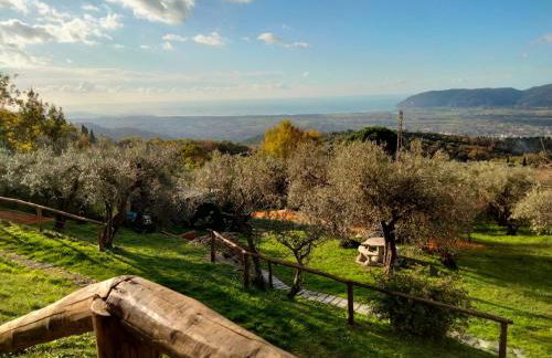 A CASA DI OLIVO - Foto 58