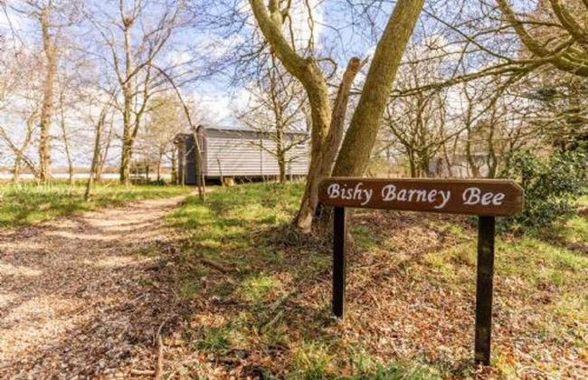 Host Stay The Bishy Barnee Bee - Foto 7