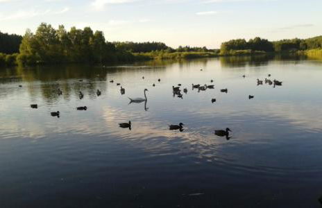 Landhaus am Schloss - Foto 44