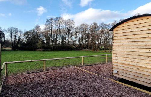 Cosy Owl - Shepherds Hut - Foto 22