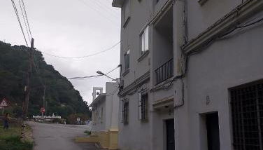 Ave Ibis eremita Vejer - Foto 3