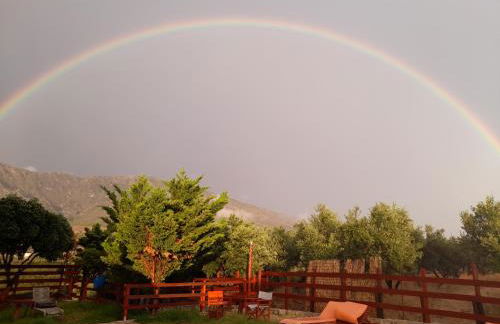 Villa Evenos with private pool - Foto 69