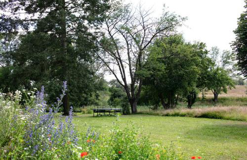 Ferienwohnungen Hof Luisenau - Foto 59