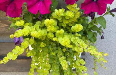 Modern Studio with Private Patio - Foto 50