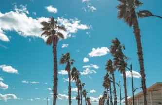 FiveStepsToSea - Beach Apartment Valencia - Foto 14