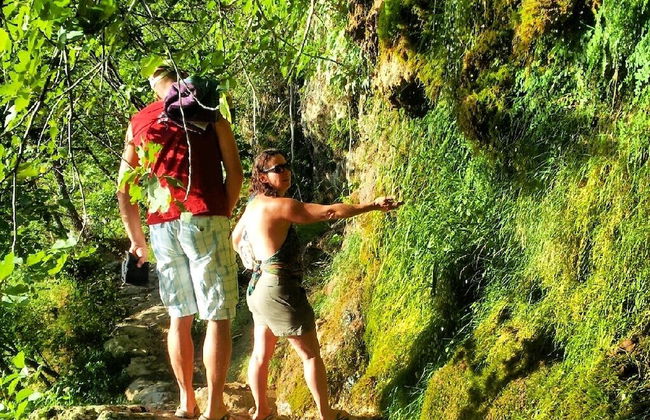 Domaine en Terre Happy - Foto 35