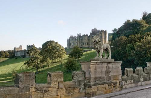 Harry's Den - Foto 6