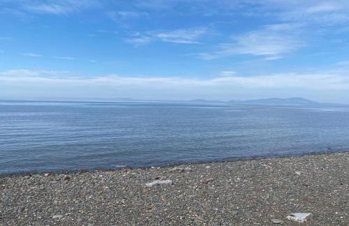 23 The Beeches - Foto 32