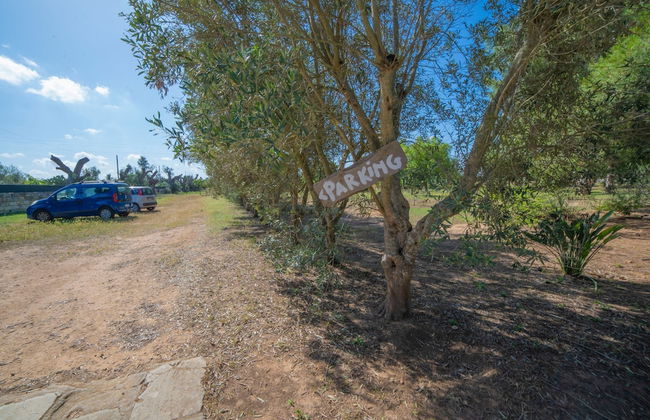 Masseria Le Palmentelle Pool And Garden - Photo 36