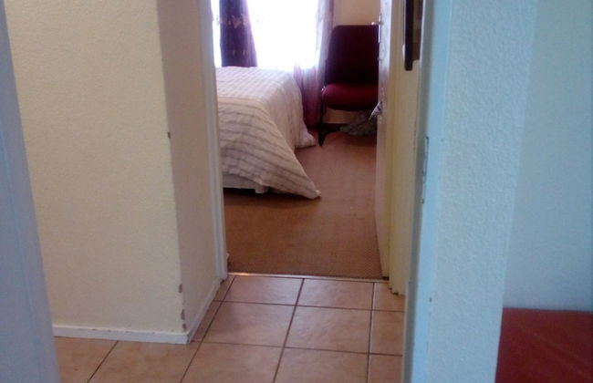 The Royal Princess Garden - Honeydew - Photo 8