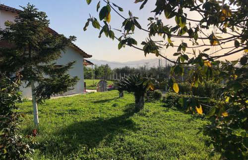 Παραδοσιακό σπίτι με τζάκι - Foto 45