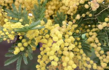 La Casina di campagna tra Cecina e Bibbona - Foto 39