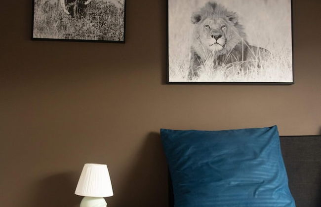 Cosy 2-bedroom Apartment in the Center of Hotton - Photo 13