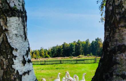 Apartamenty nad morzem Przy Klifie 2 Dębina - Foto 61