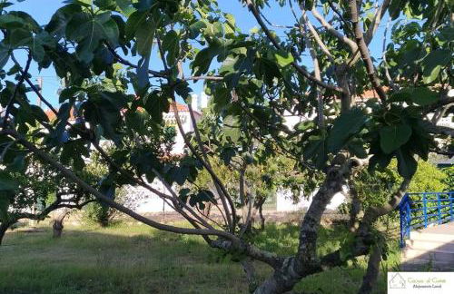 Casa D'Avó (1º Andar) - Photo 19