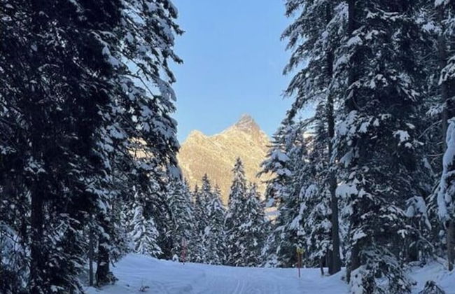 Holiday Apartment Alpengluhen - Foto 37