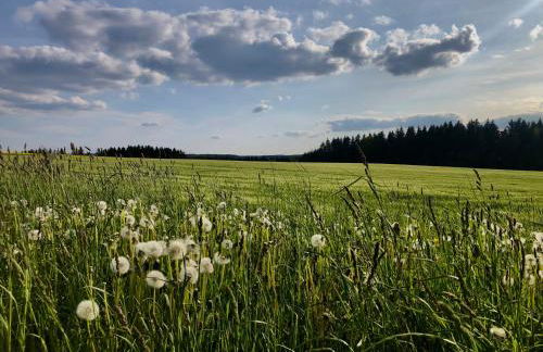 Ferienwohnung Sonnenhof - Foto 56