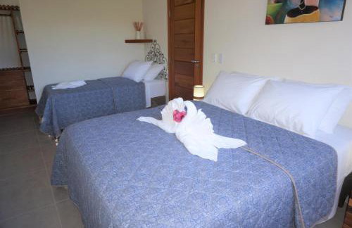 Cores do Verão - Apartamentos ou Studios - Foto 30