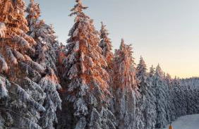 Maries bunte Villa - Foto 34