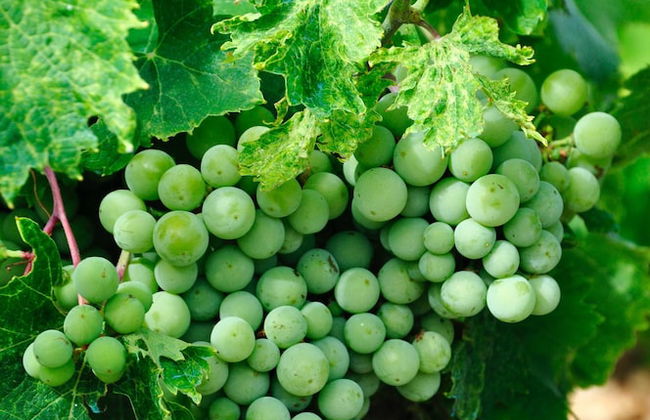 Villa ata Razanac - Studio Apartment St-a - Foto 4