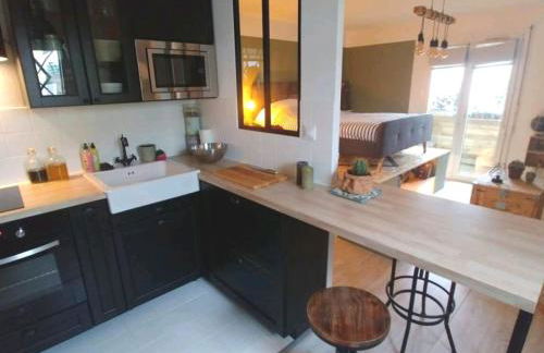 Studio Cosy Atypique - Toulouse - Photo 7