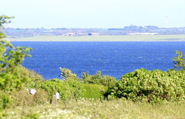 4 Person Holiday Home in Snedsted-by Traum - Foto 23